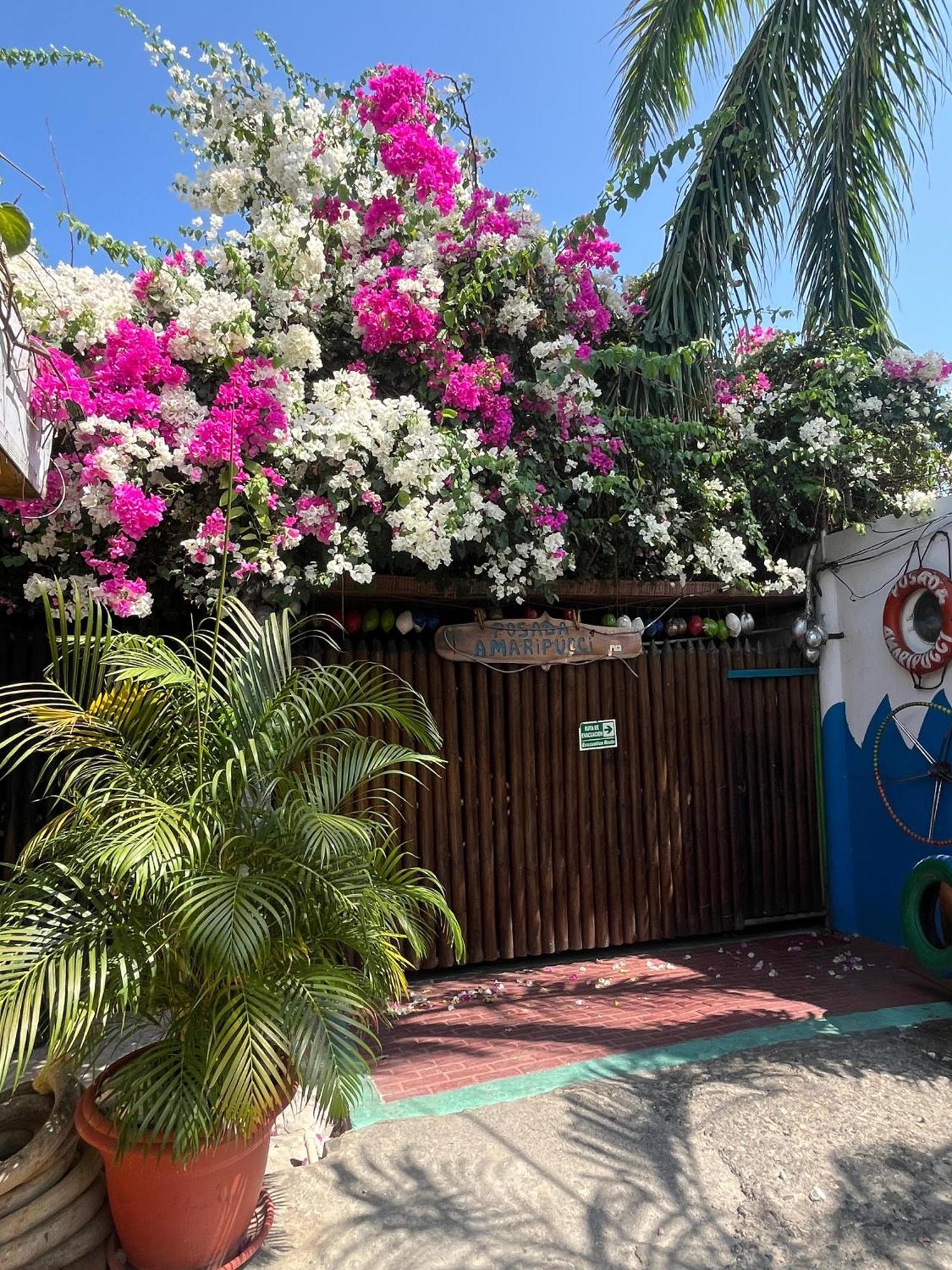 Posada Amaripucci San Andres  Exterior photo